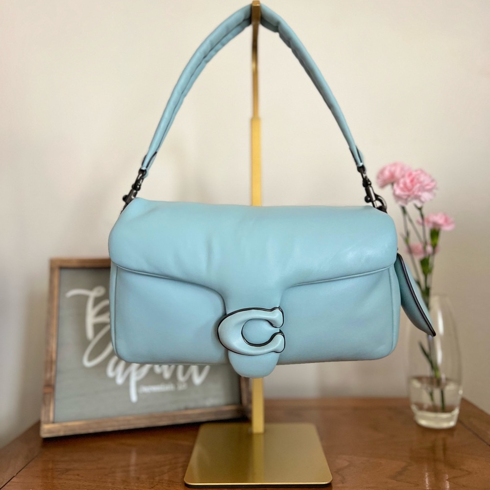 Coach Pillow Tabby 26